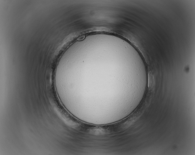 X0000116660253200912291643