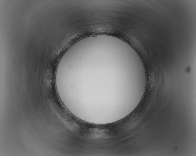 X0000116660255200912291643