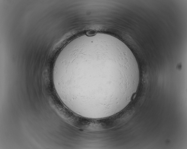 X0000116660256200912291643