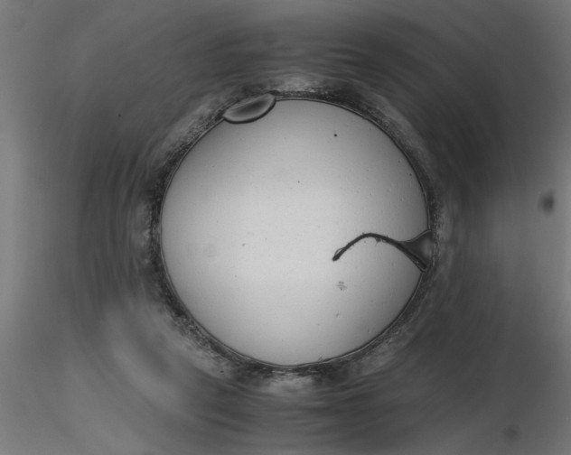 X0000116660257200912291643