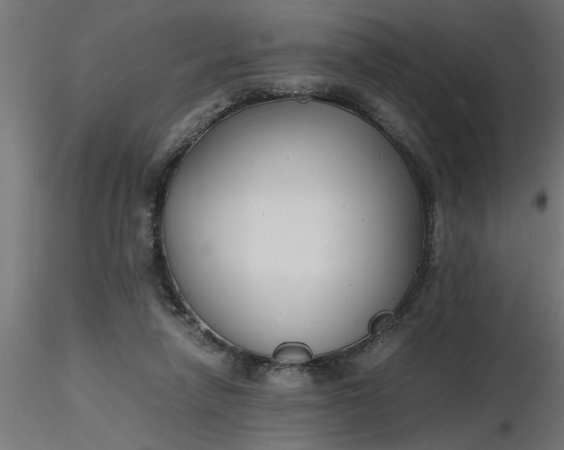 X0000116660258200912291643