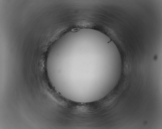 X0000116660259200912291643