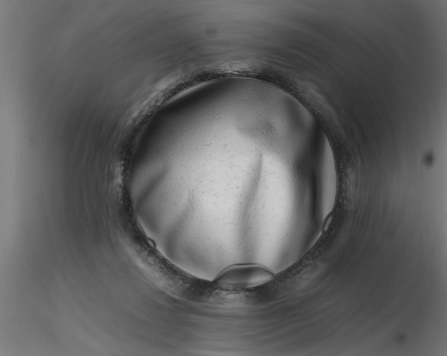 X0000116660260200912291643