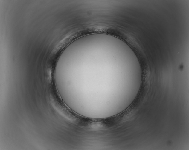 X0000116660262200912291643