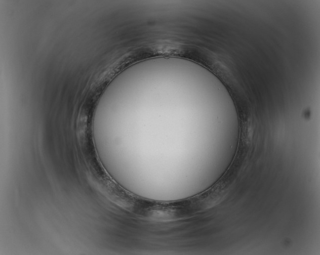 X0000116660263200912291643