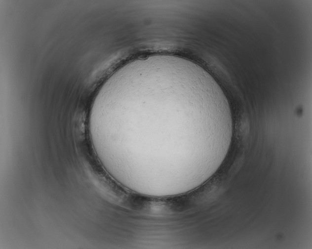 X0000116660264200912291643