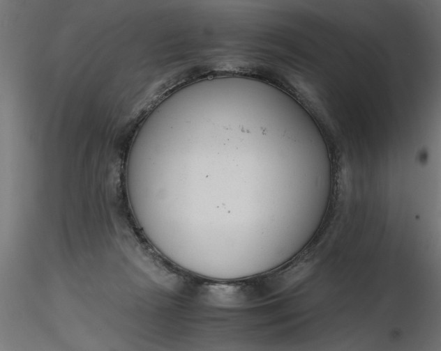 X0000116660265200912291643