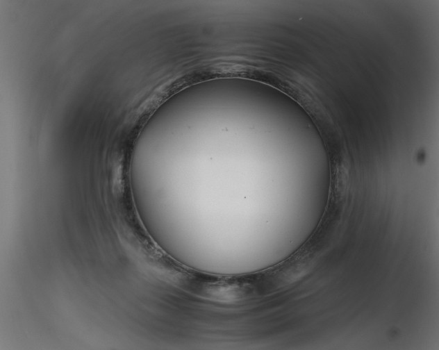 X0000116660267200912291643