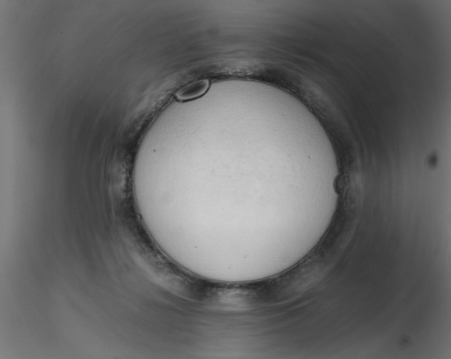 X0000116660268200912291643