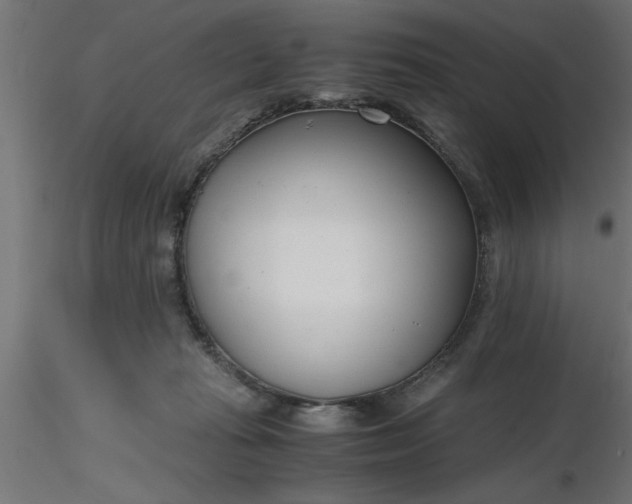 X0000116660269200912291643