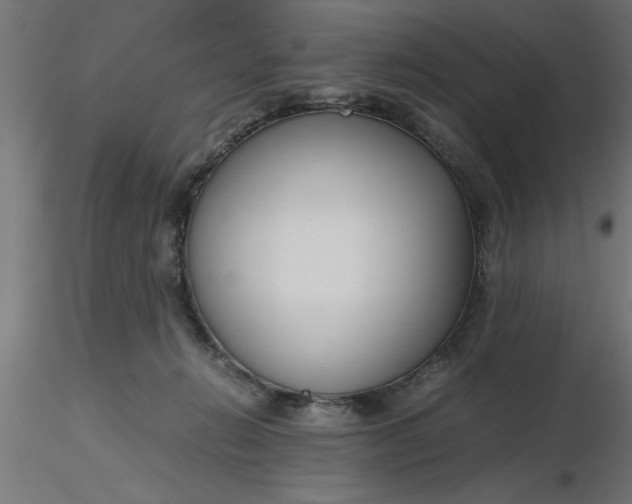 X0000116660270200912291643