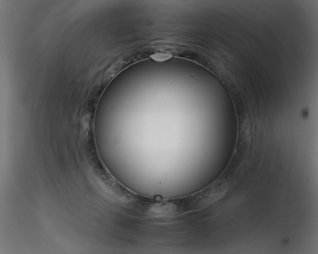 X0000116660271200912291643