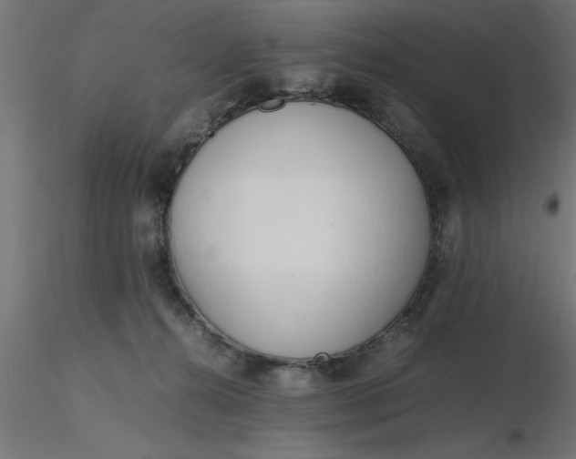 X0000116660272200912291643