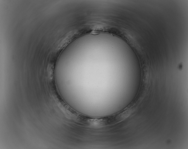 X0000116660273200912291643