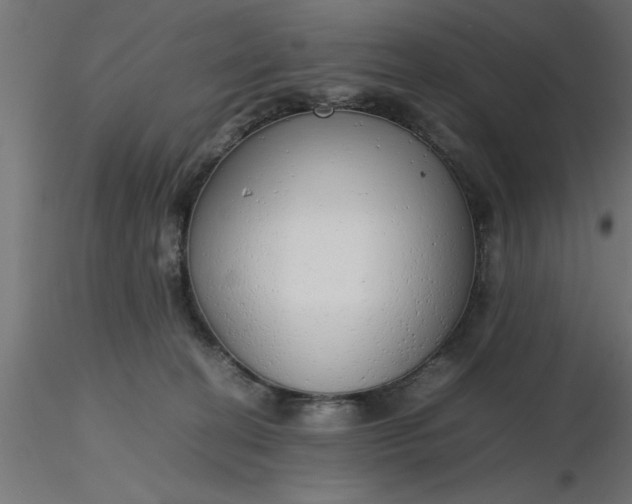 X0000116660274200912291644