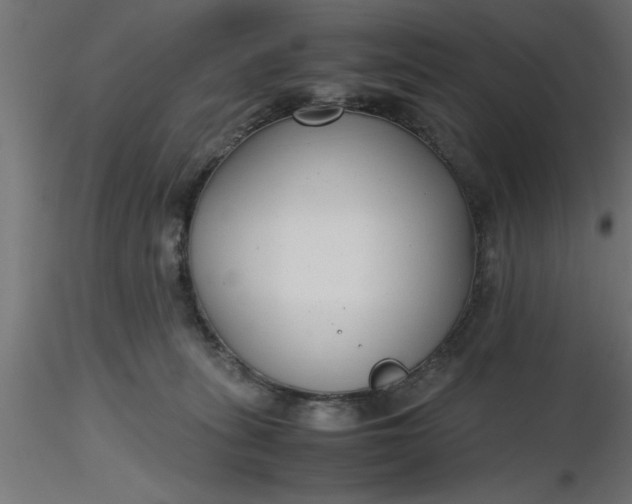 X0000116660275200912291644