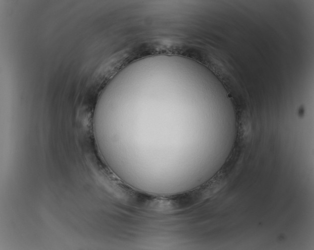 X0000116660276200912291644