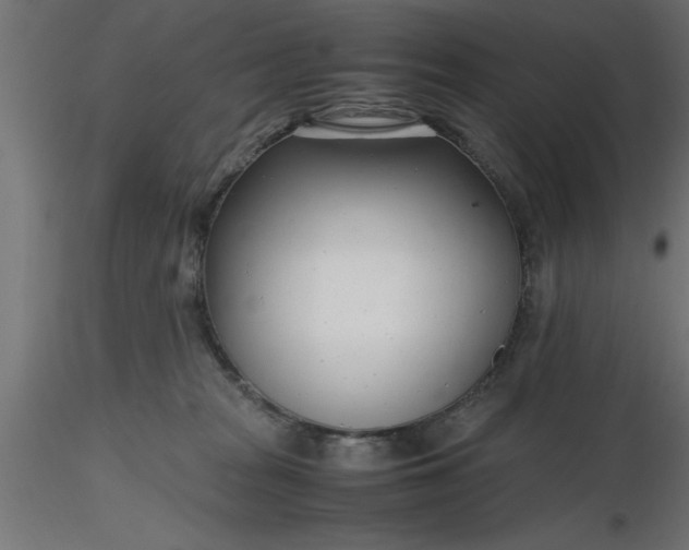 X0000116660277200912291644