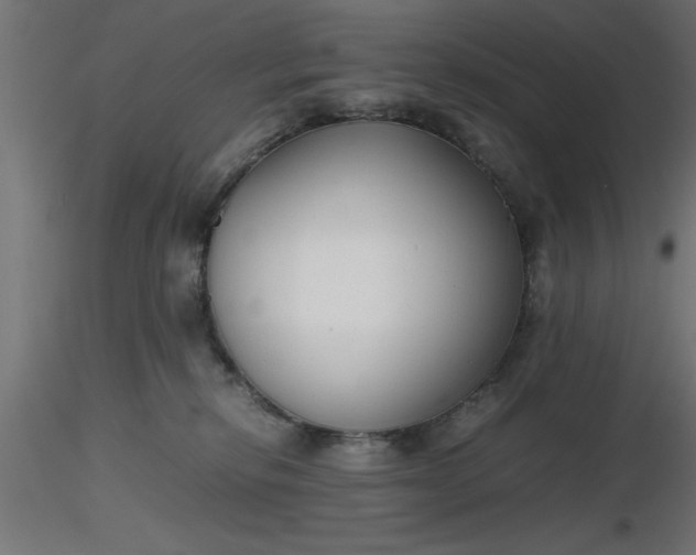 X0000116660278200912291644