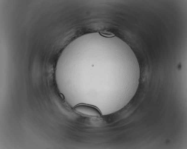 X0000116660279200912291644