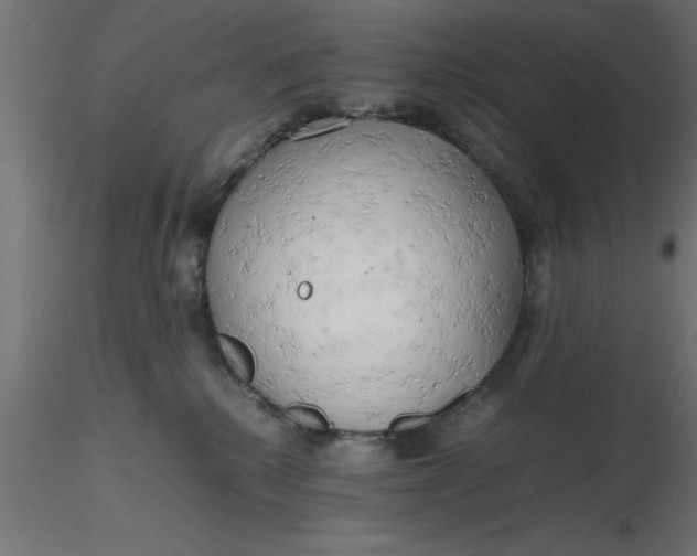 X0000116660280200912291644