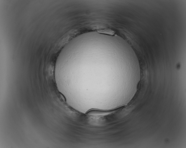 X0000116660281200912291644