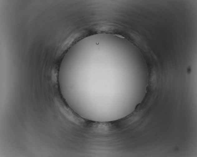 X0000116660282200912291644