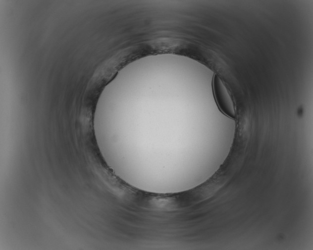 X0000116660283200912291644