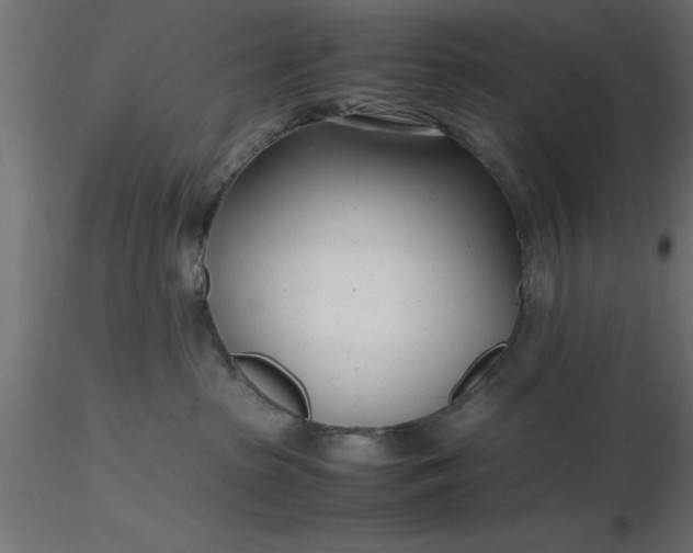 X0000116660285200912291644