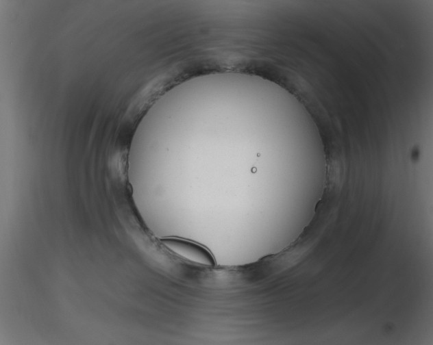 X0000116660286200912291644