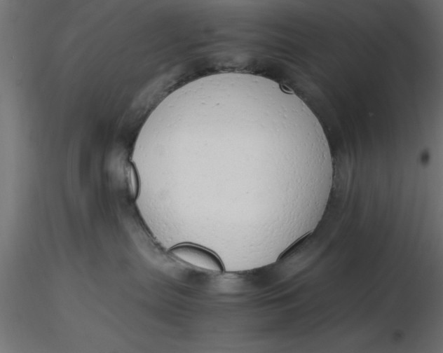 X0000116660287200912291644