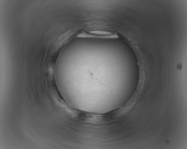 X0000116660288200912291644