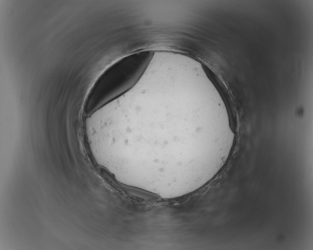 X0000116660289200912291643