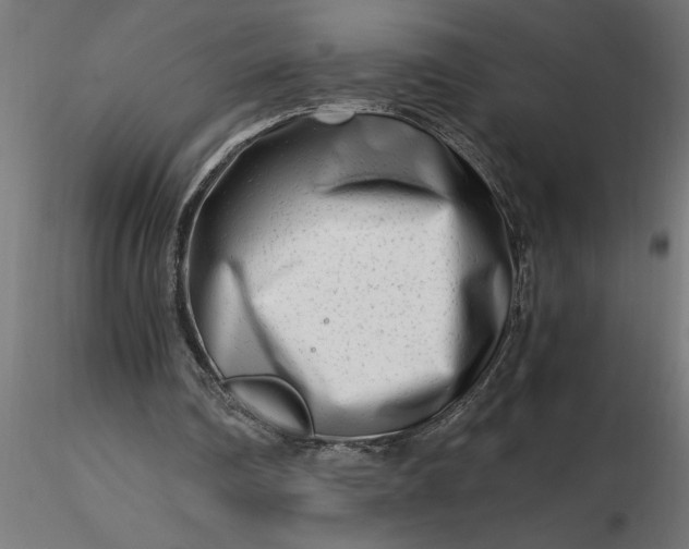 X0000116660290200912291643