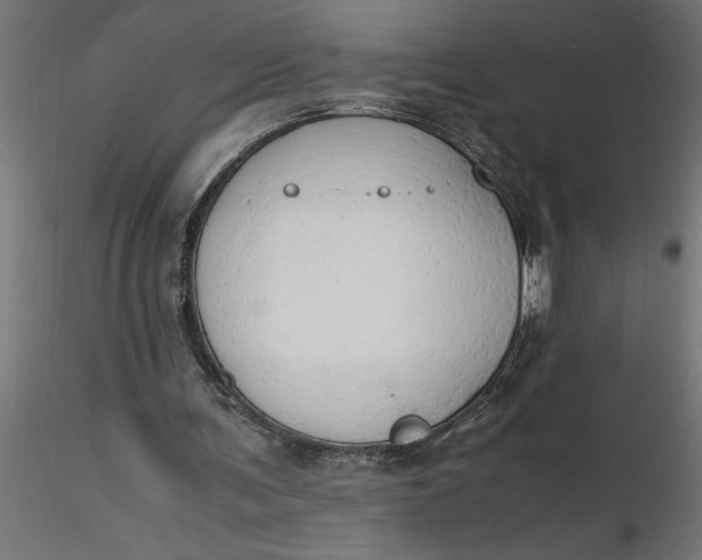 X0000116660291200912291643