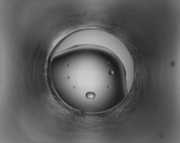 X0000116660292200912291643