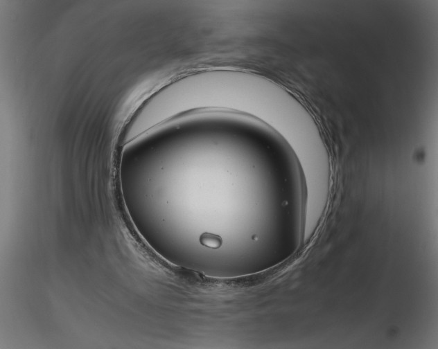 X0000116660293200912291643