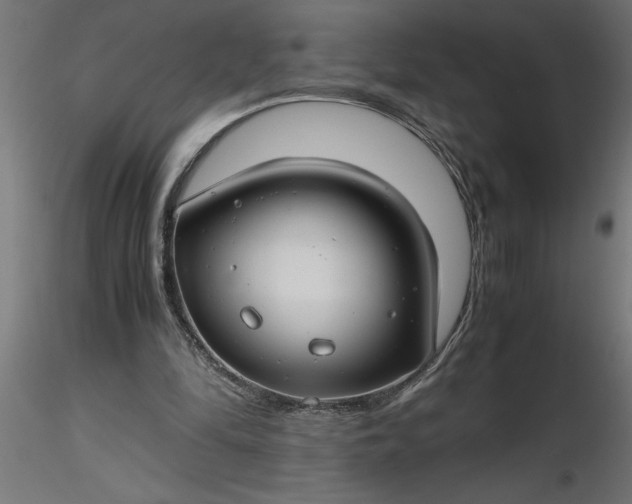 X0000116660294200912291643