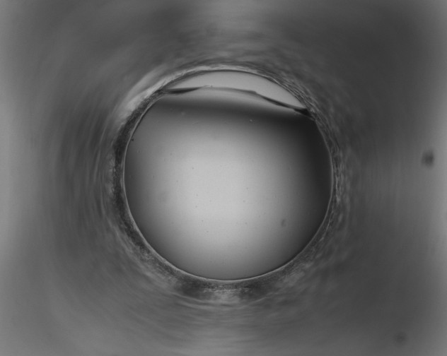 X0000116660295200912291643