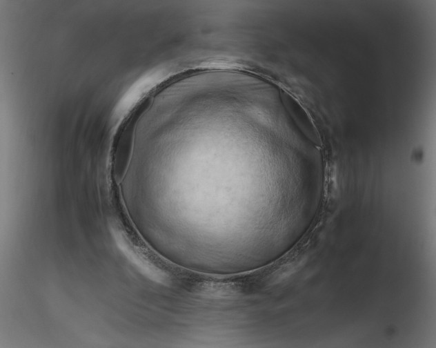 X0000116660296200912291643