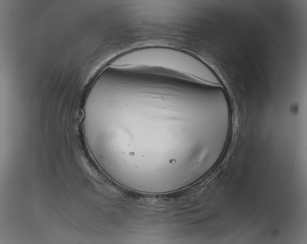 X0000116660297200912291643