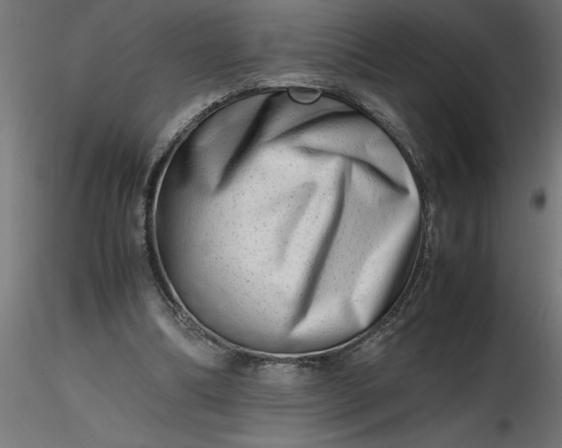 X0000116660298200912291643