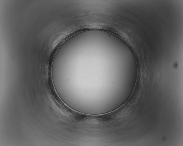 X0000116660299200912291643