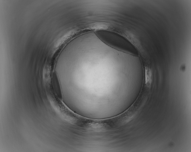 X0000116660300200912291643