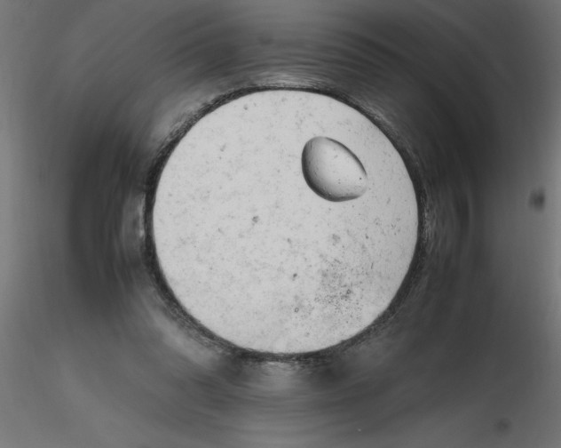 X0000116660302200912291643