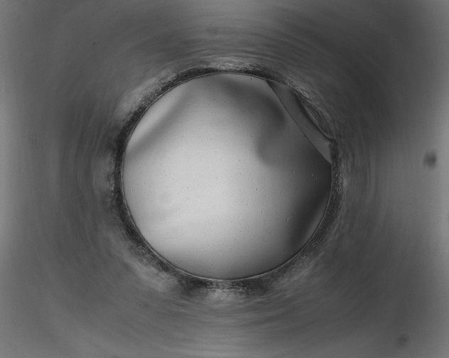 X0000116660303200912291643