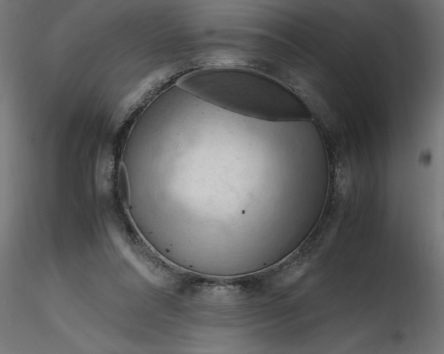 X0000116660304200912291643