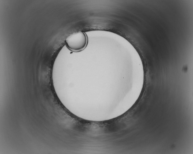 X0000116660305200912291643