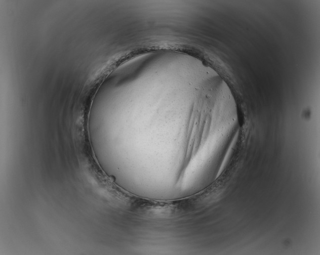 X0000116660306200912291643