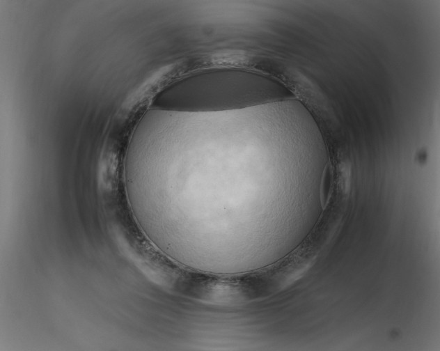 X0000116660308200912291643